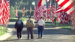 Veterans with flags