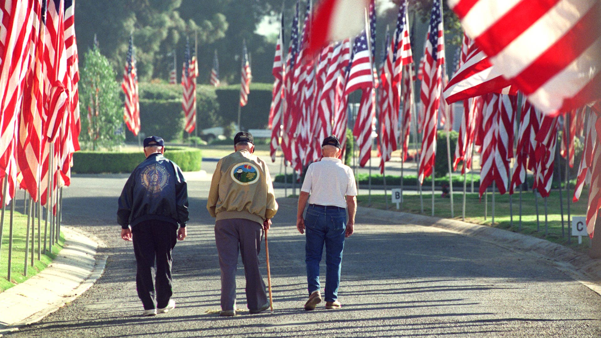 Veterans with flags